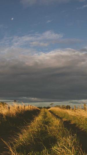 51今日吃瓜必吃大瓜截图1